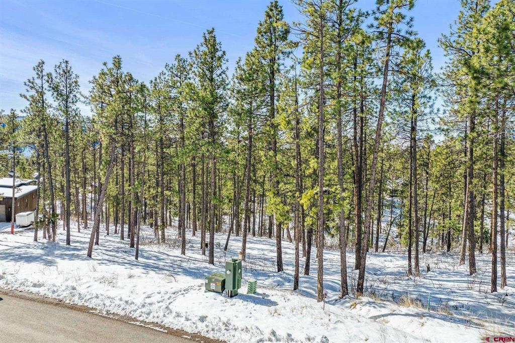 1067 Red Canyon Trail Durango CO 81301
