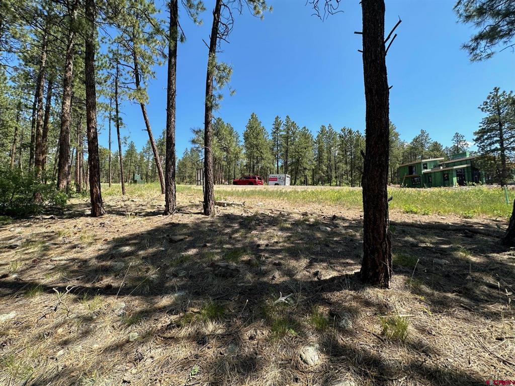 1067 Red Canyon Trail Durango CO 81301