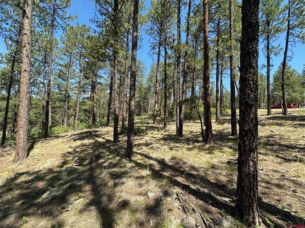 1067 Red Canyon Trail Durango CO 81301