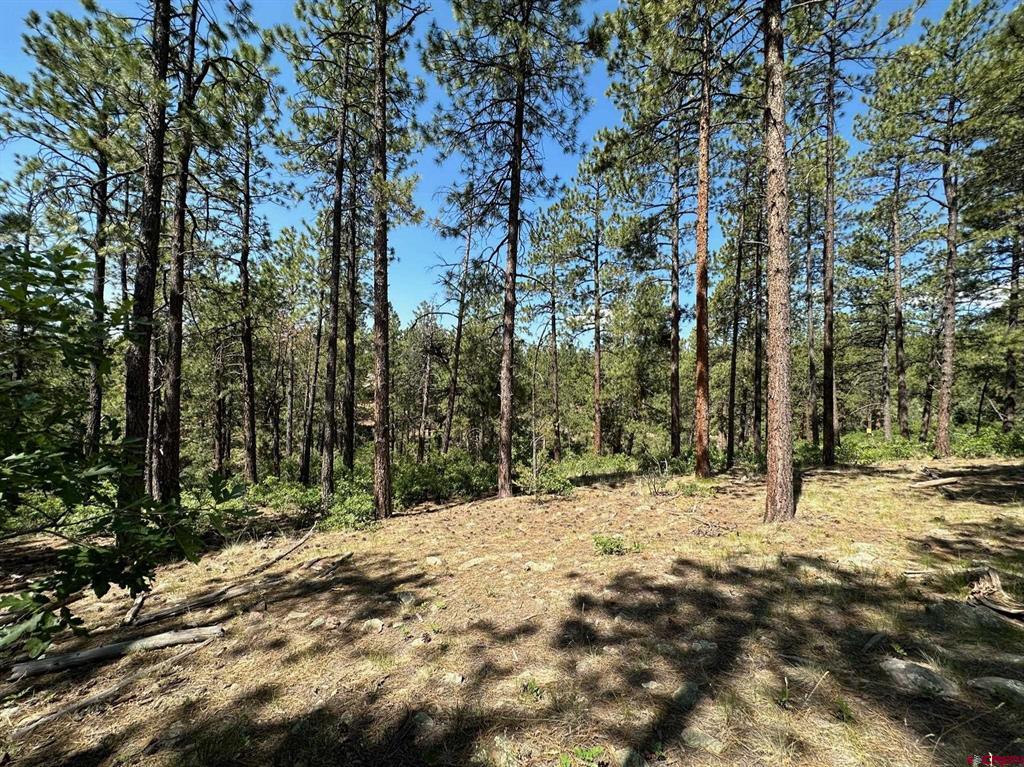 1067 Red Canyon Trail Durango CO 81301