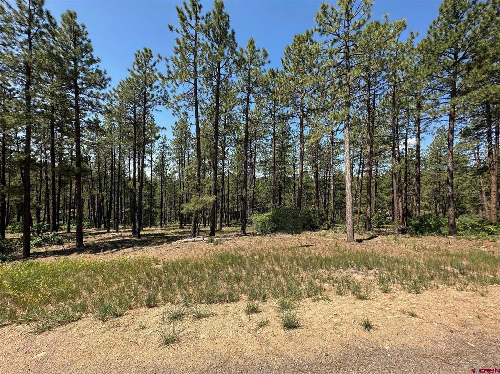 1067 Red Canyon Trail Durango CO 81301