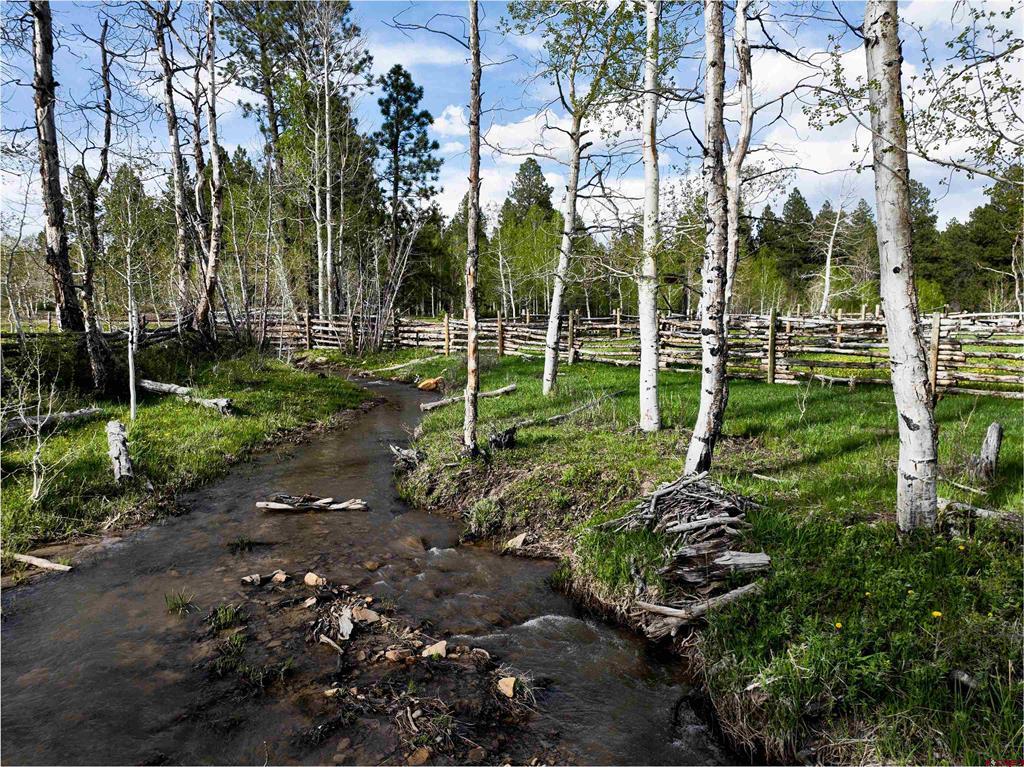 44500 Ditches Road Mancos CO 81328