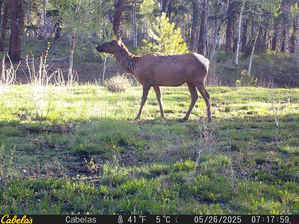 44500 Ditches Road Mancos CO 81328