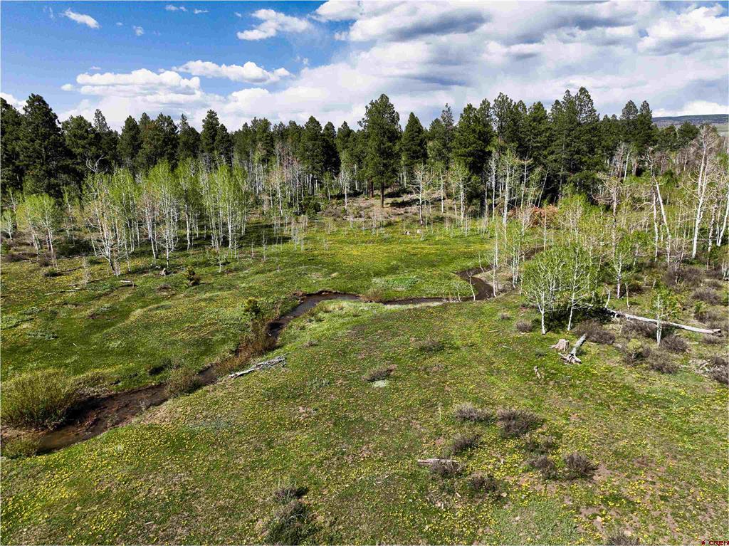 44500 Ditches Road Mancos CO 81328