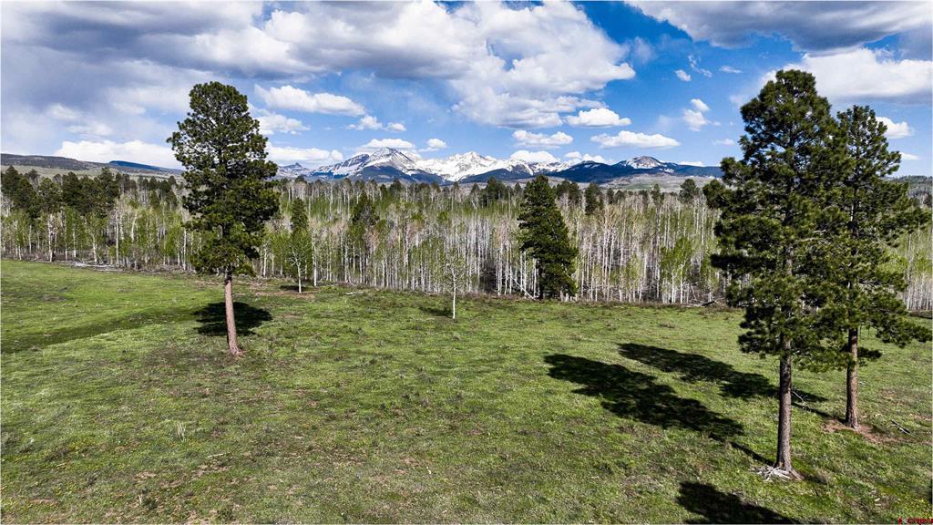 44500 Ditches Road Mancos CO 81328