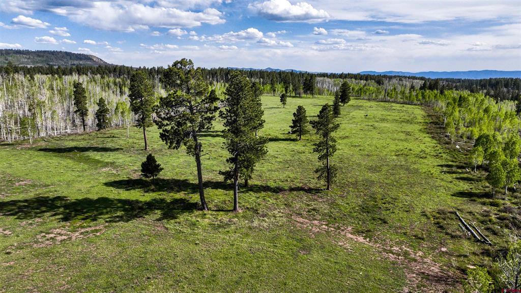 44500 Ditches Road Mancos CO 81328