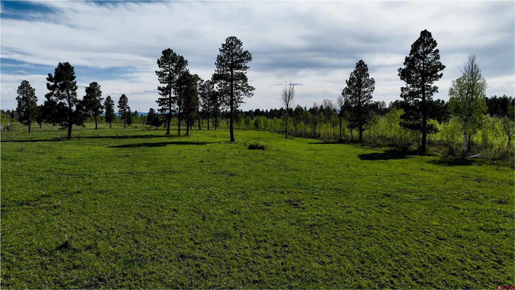 44500 Ditches Road Mancos CO 81328