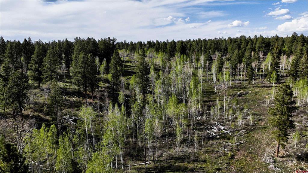 44500 Ditches Road Mancos CO 81328