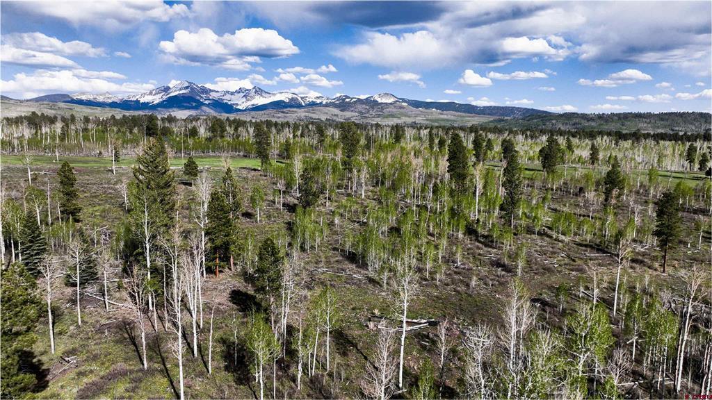 44500 Ditches Road Mancos CO 81328