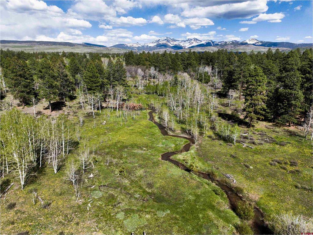 44500 Ditches Road Mancos CO 81328