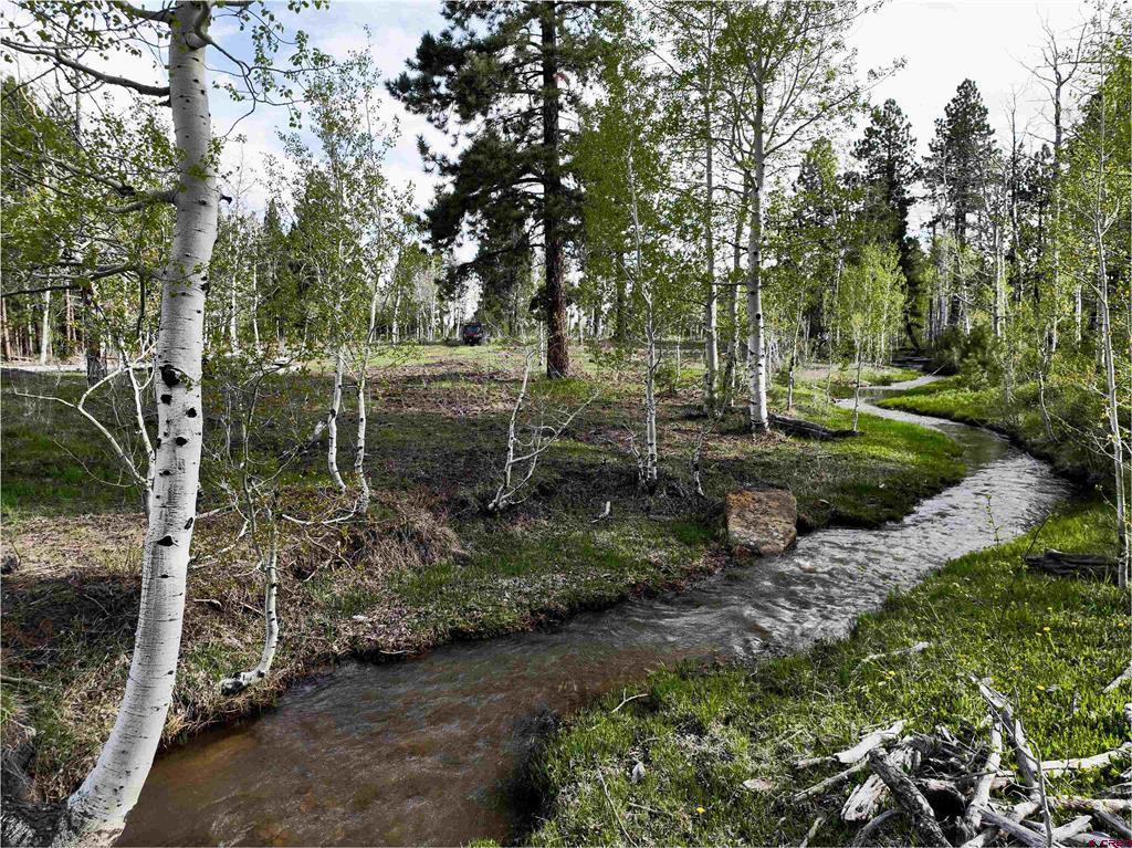 44500 Ditches Road Mancos CO 81328