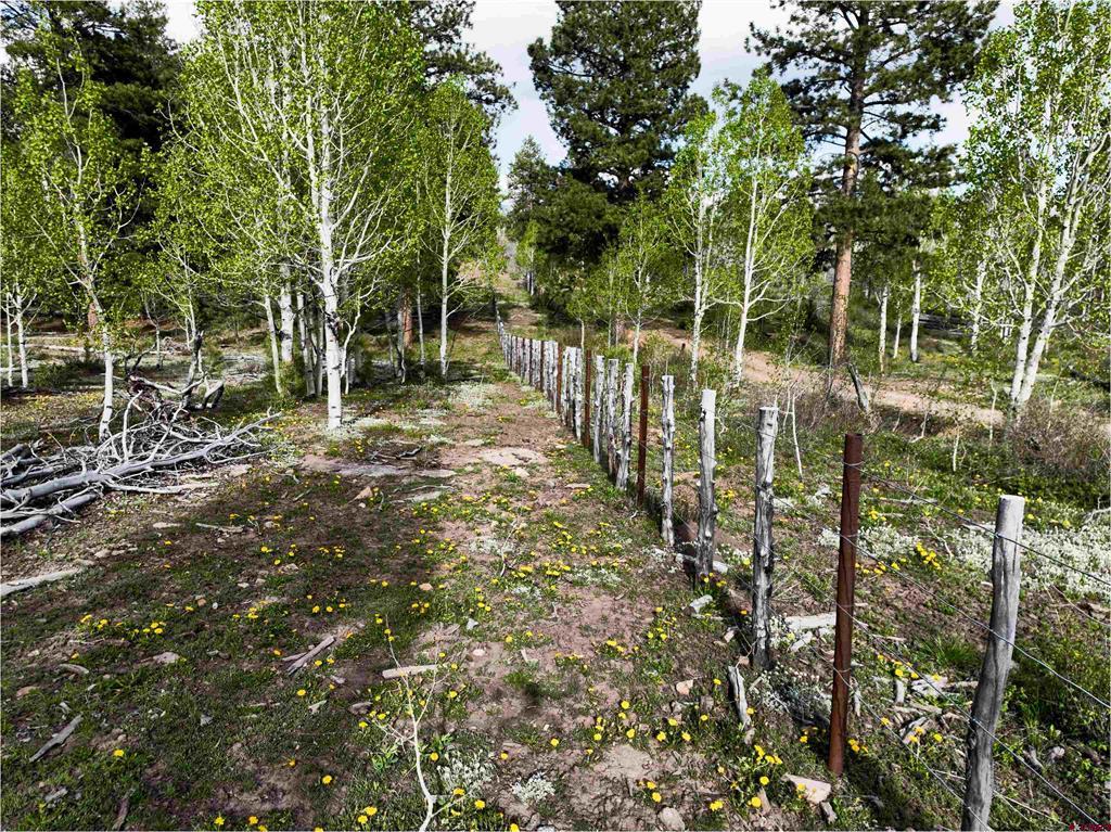 44500 Ditches Road Mancos CO 81328