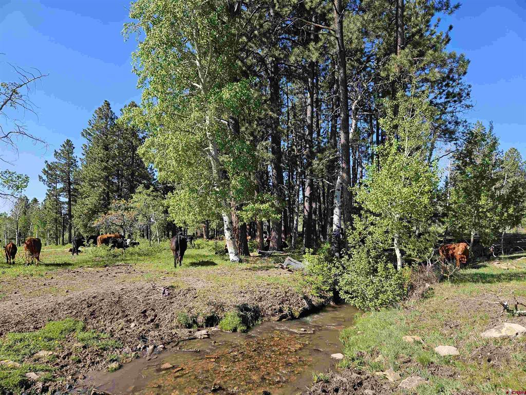 44500 Ditches Road Mancos CO 81328