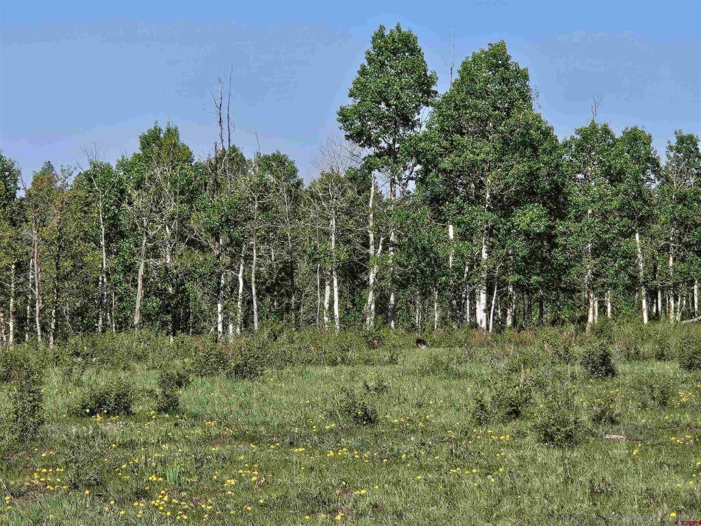 44500 Ditches Road Mancos CO 81328