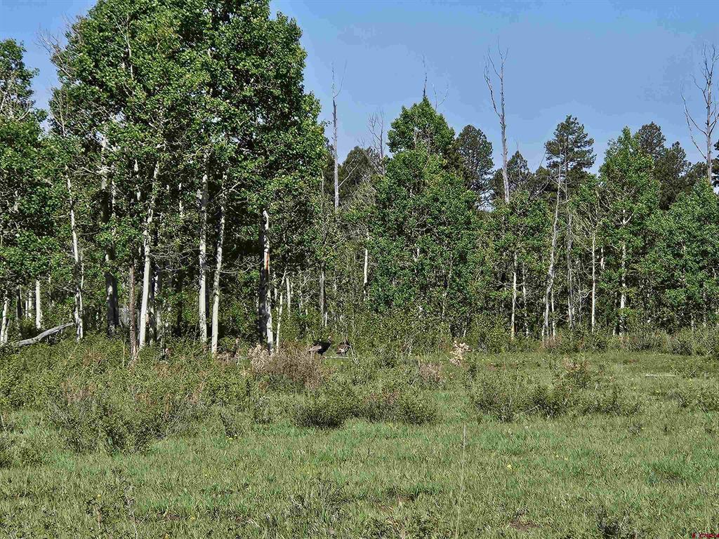 44500 Ditches Road Mancos CO 81328