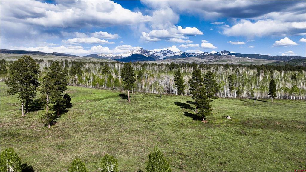 44500 Ditches Road Mancos CO 81328