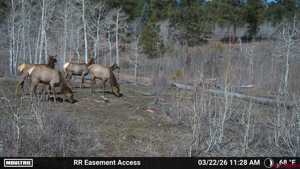 44500 Ditches Road Mancos CO 81328