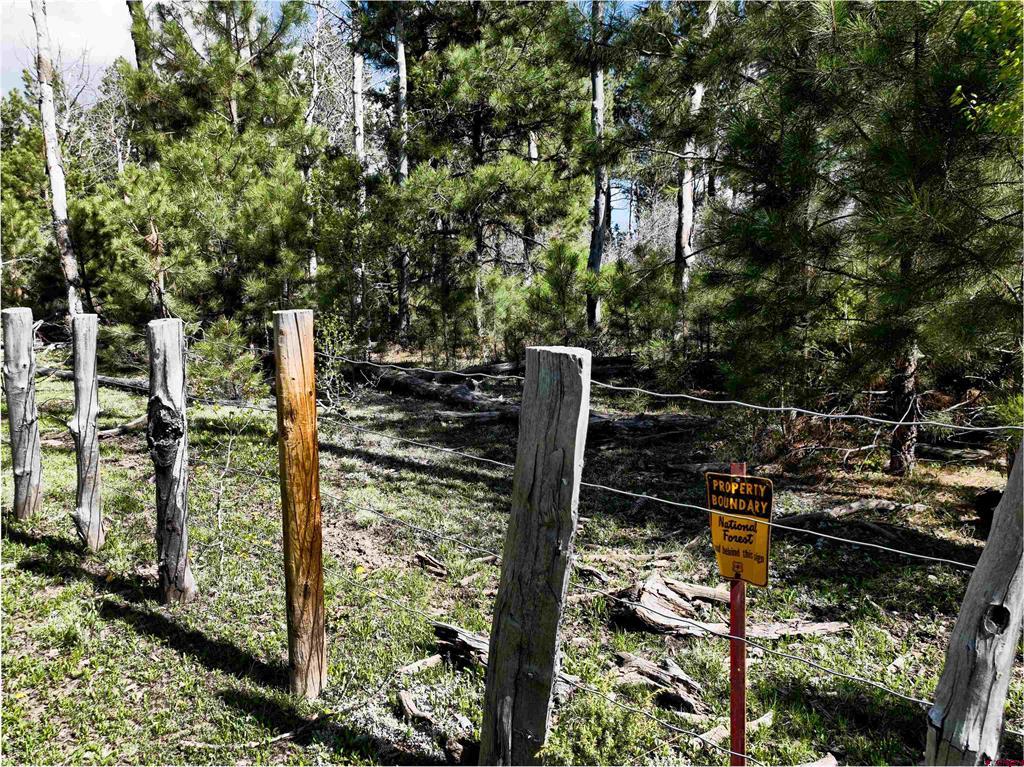44500 Ditches Road Mancos CO 81328
