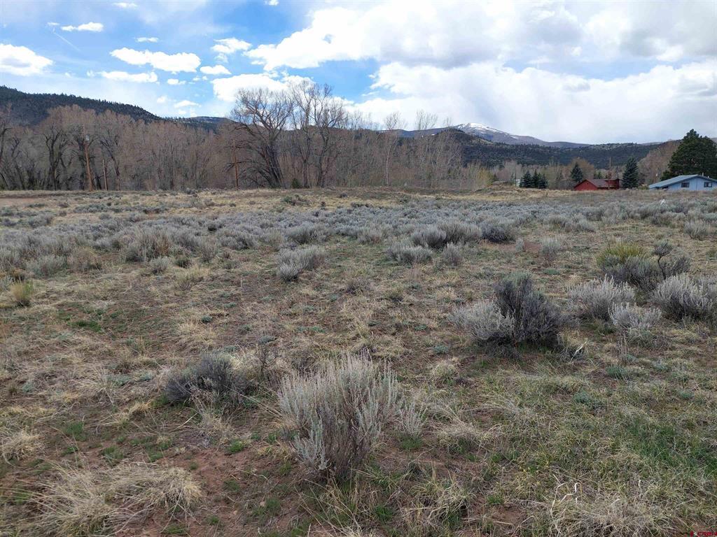 55 Owhi Road South Fork CO 81154