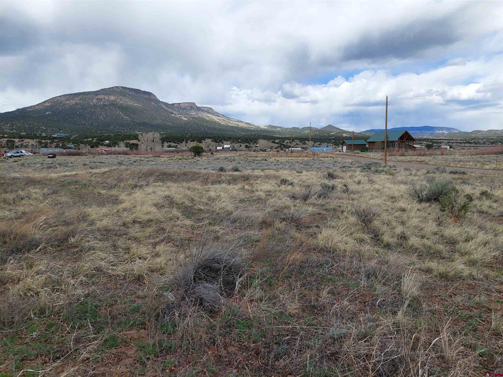 55 Owhi Road South Fork CO 81154