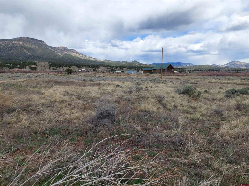 55 Owhi Road South Fork CO 81154