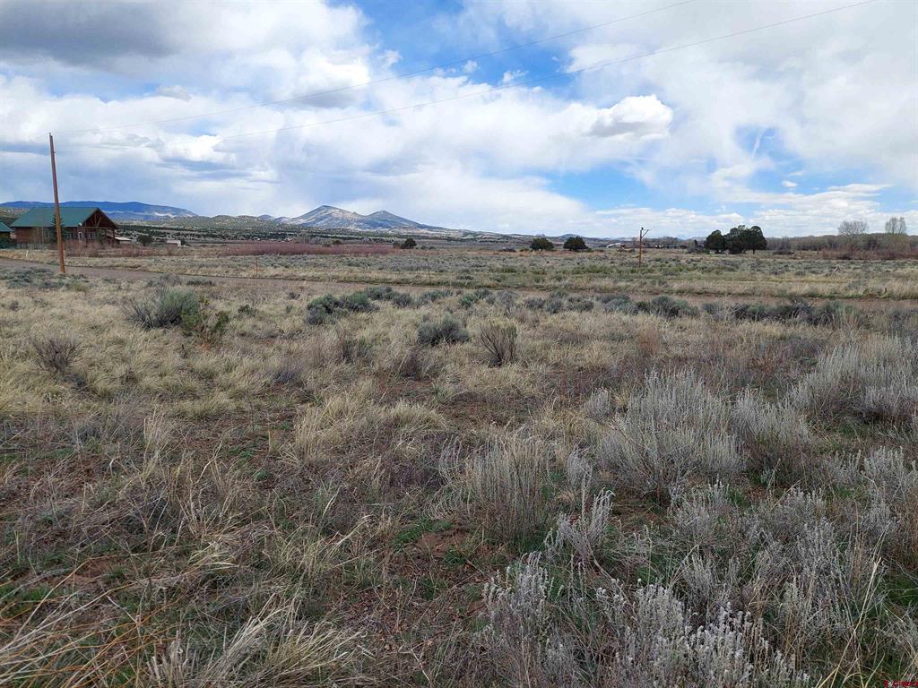 55 Owhi Road South Fork CO 81154