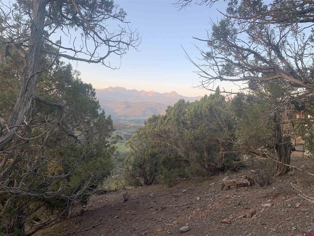 175 Courthouse Peak Lane Ridgway CO 81432