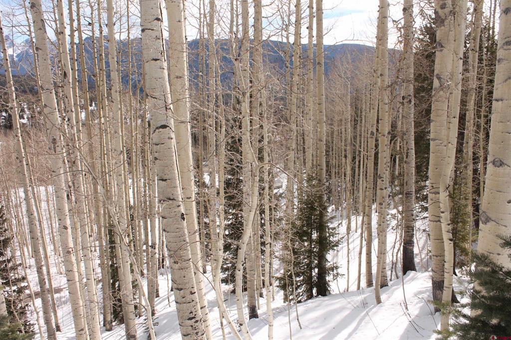 577 Falcon Ridge Road Durango CO 81301