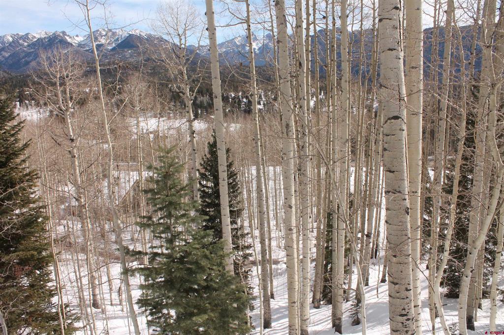 577 Falcon Ridge Road Durango CO 81301