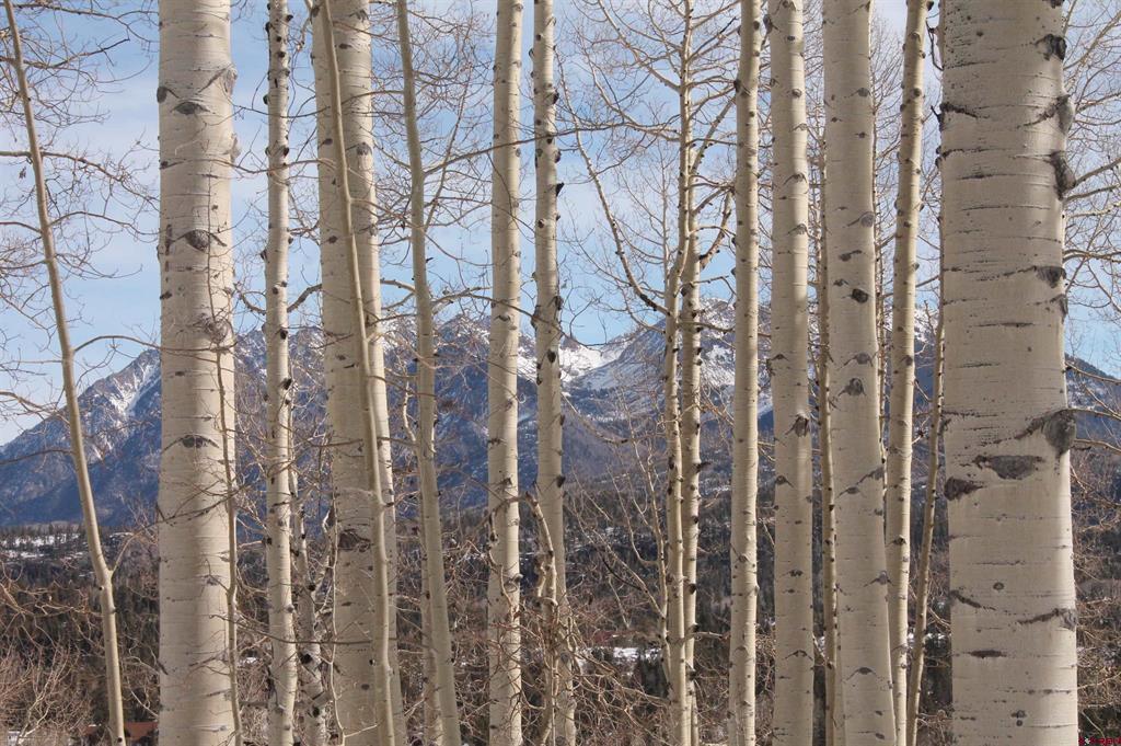 577 Falcon Ridge Road Durango CO 81301