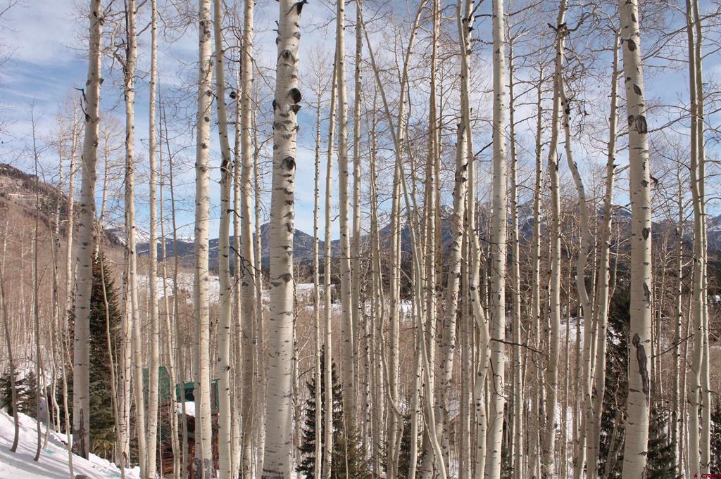 577 Falcon Ridge Road Durango CO 81301