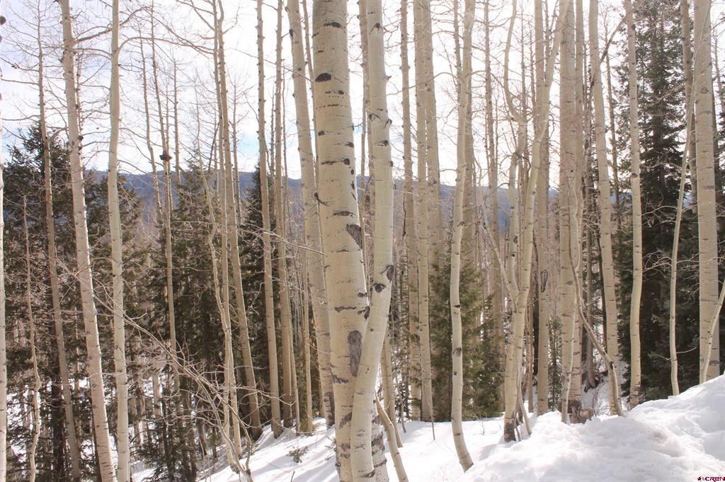 577 Falcon Ridge Road Durango CO 81301