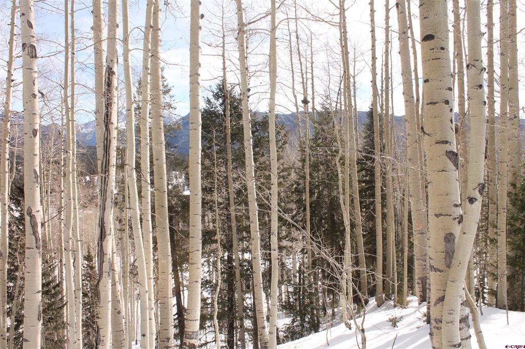 577 Falcon Ridge Road Durango CO 81301