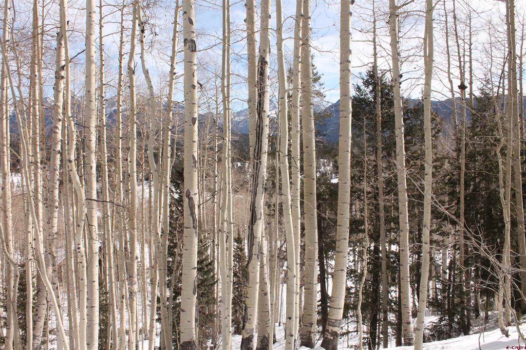577 Falcon Ridge Road Durango CO 81301
