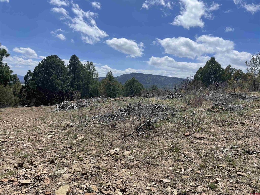 1131 Lodge Pole Drive Pagosa Springs CO 81147