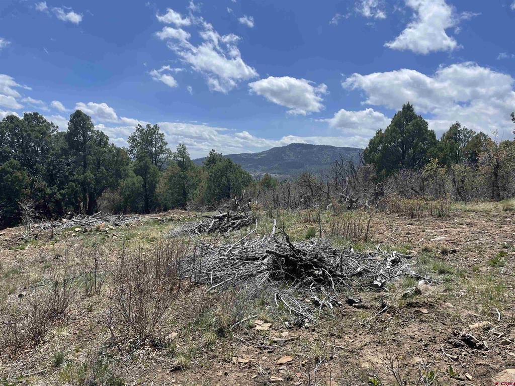 1131 Lodge Pole Drive Pagosa Springs CO 81147