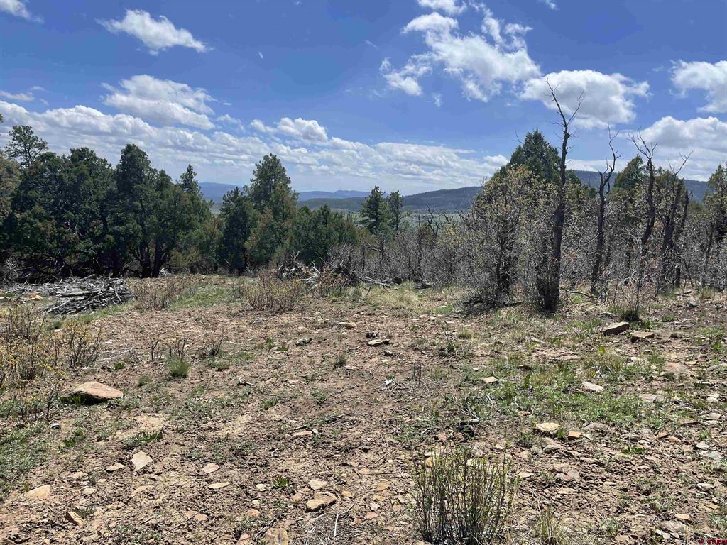 1131 Lodge Pole Drive Pagosa Springs CO 81147