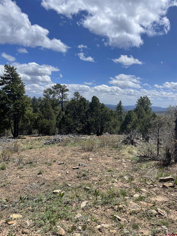 1131 Lodge Pole Drive Pagosa Springs CO 81147
