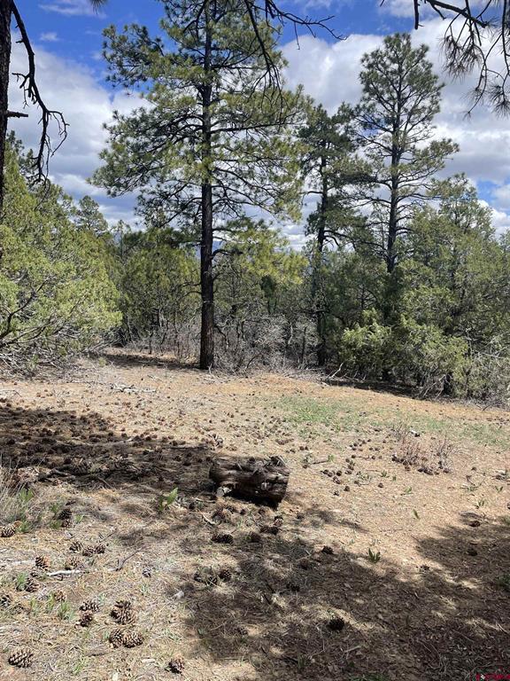 1131 Lodge Pole Drive Pagosa Springs CO 81147