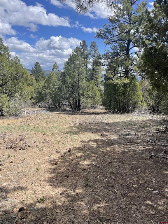 1131 Lodge Pole Drive Pagosa Springs CO 81147