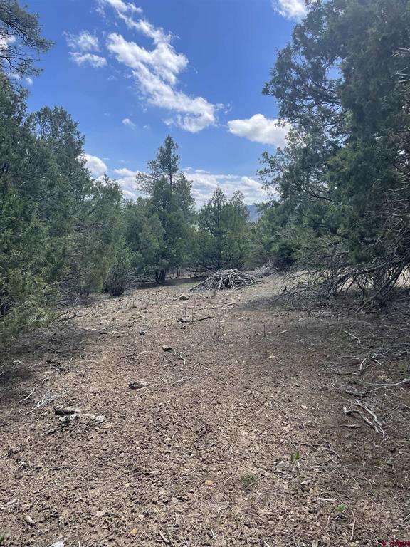 1131 Lodge Pole Drive Pagosa Springs CO 81147