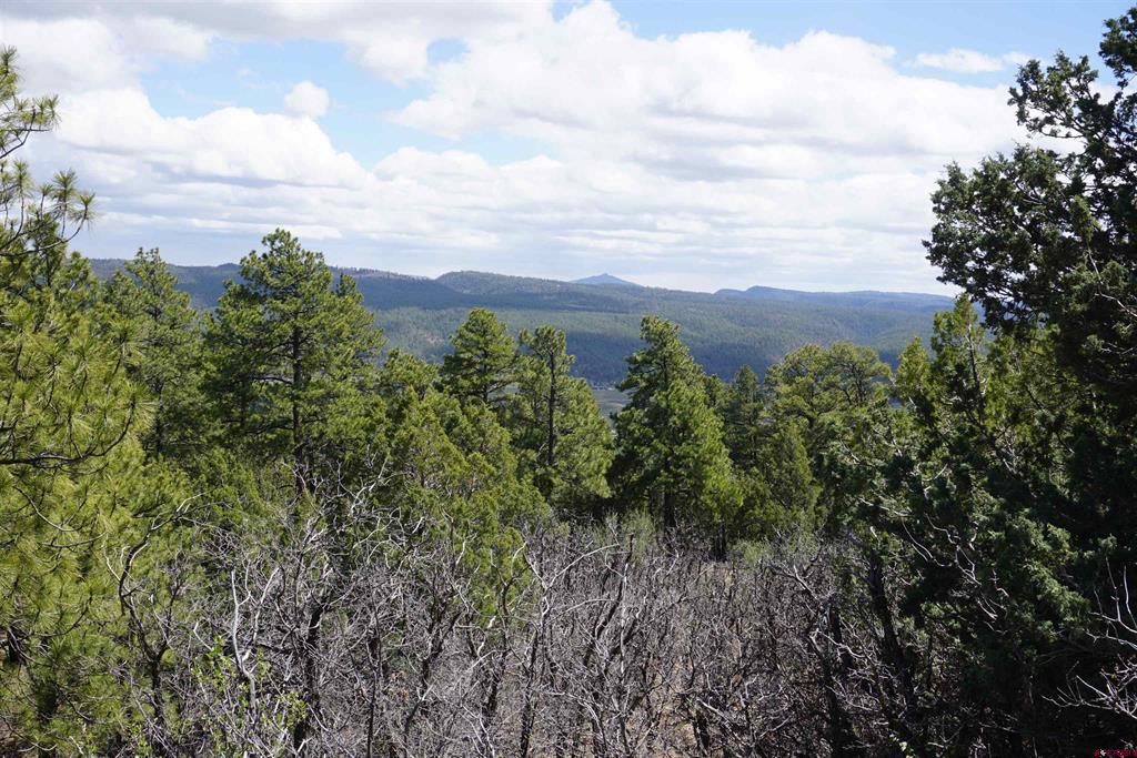 1131 Lodge Pole Drive Pagosa Springs CO 81147
