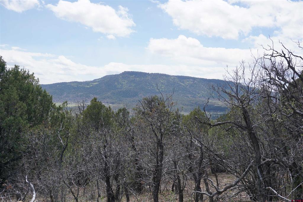 1131 Lodge Pole Drive Pagosa Springs CO 81147