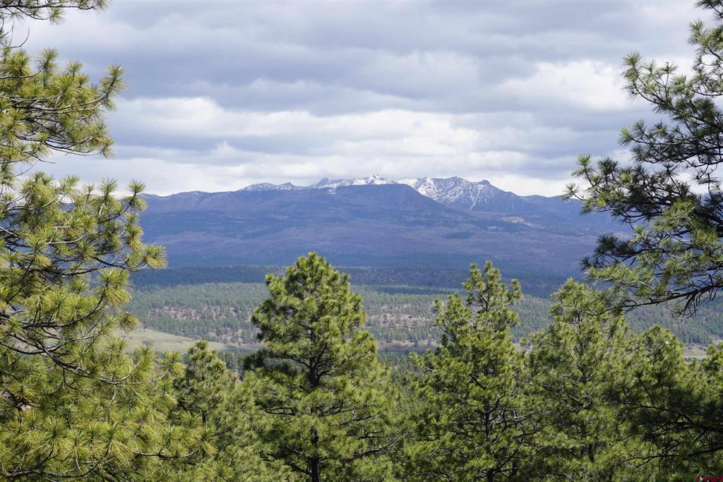 1131 Lodge Pole Drive Pagosa Springs CO 81147