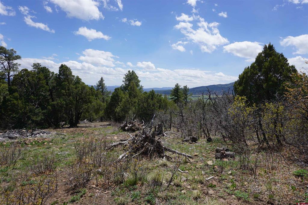 1131 Lodge Pole Drive Pagosa Springs CO 81147