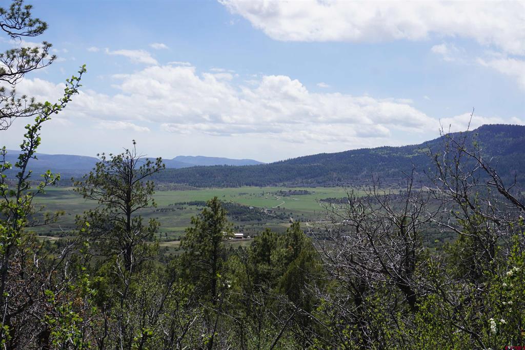 1131 Lodge Pole Drive Pagosa Springs CO 81147