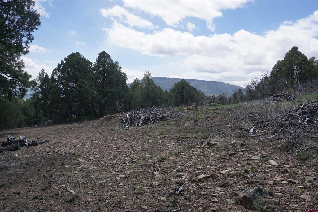 1131 Lodge Pole Drive Pagosa Springs CO 81147