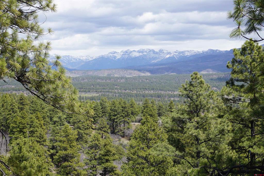 1131 Lodge Pole Drive Pagosa Springs CO 81147