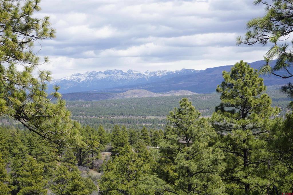 1131 Lodge Pole Drive Pagosa Springs CO 81147