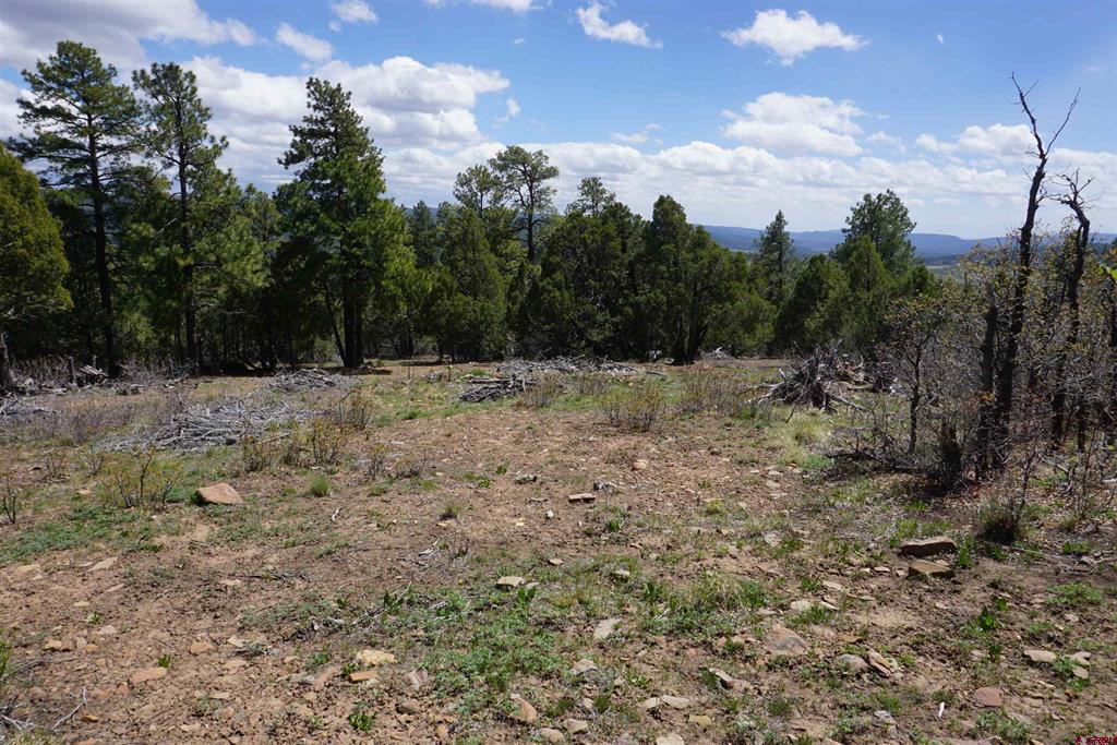 1131 Lodge Pole Drive Pagosa Springs CO 81147